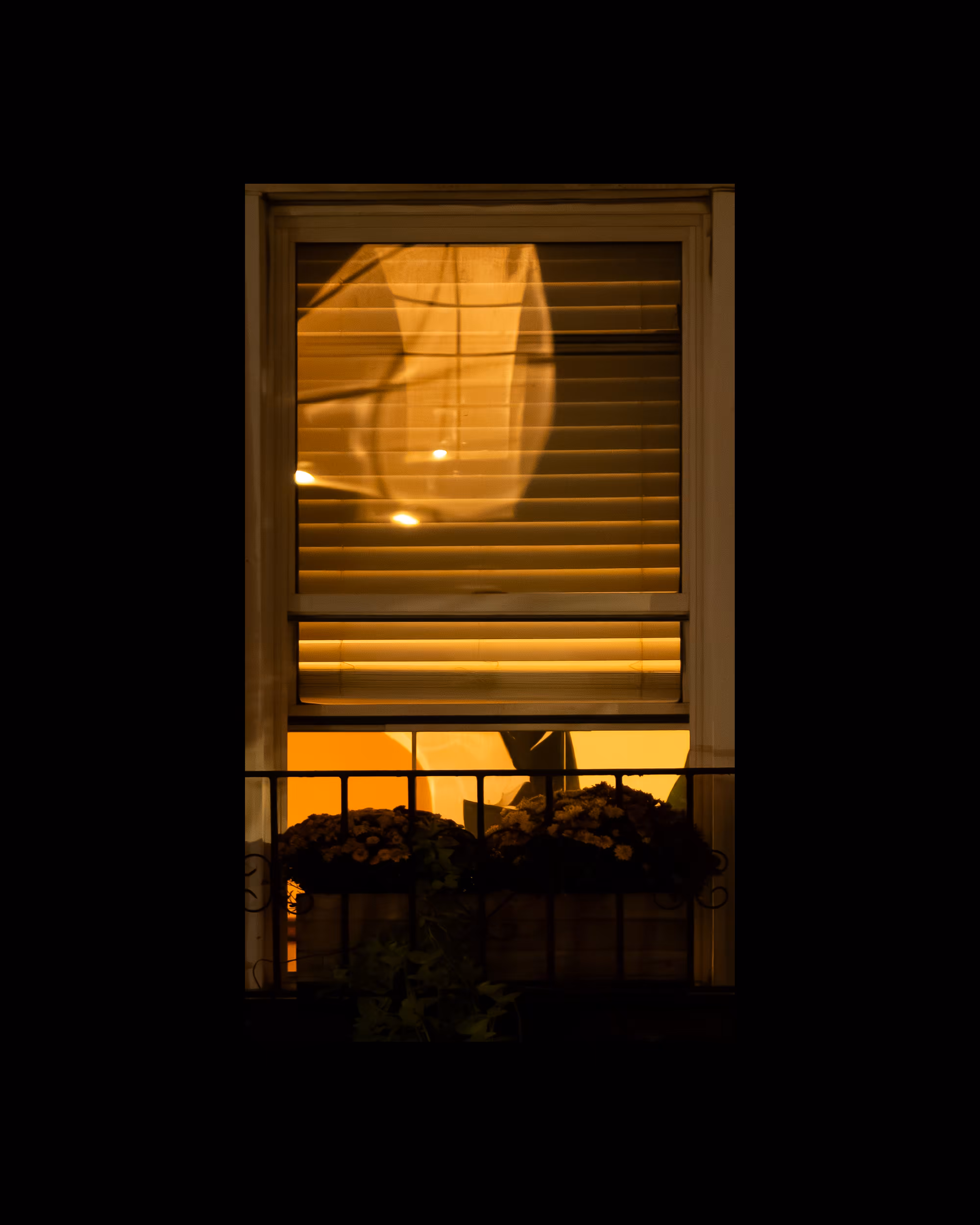 WINDOW 599