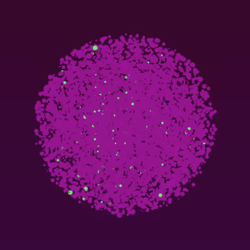 Coalesce #70