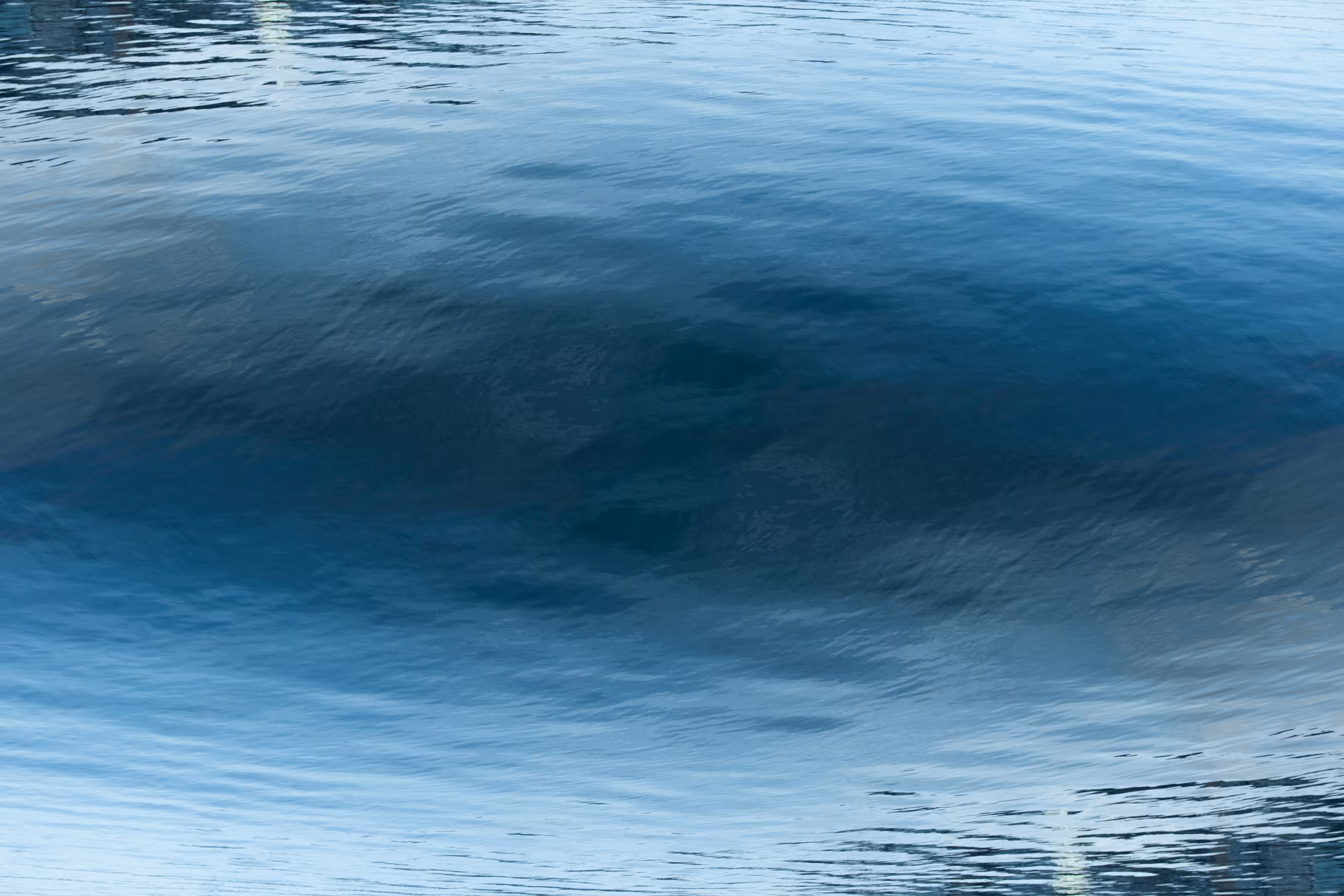 blue haze