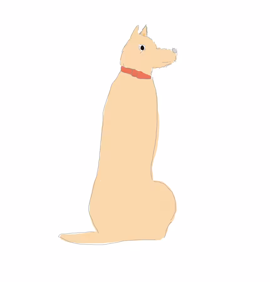 Red Collar - Dog