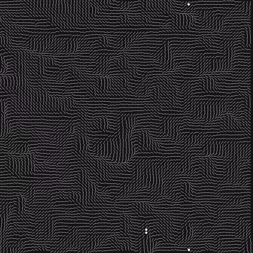 Geometric Fluidity #969