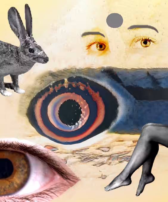 Gray Dot - Collage
