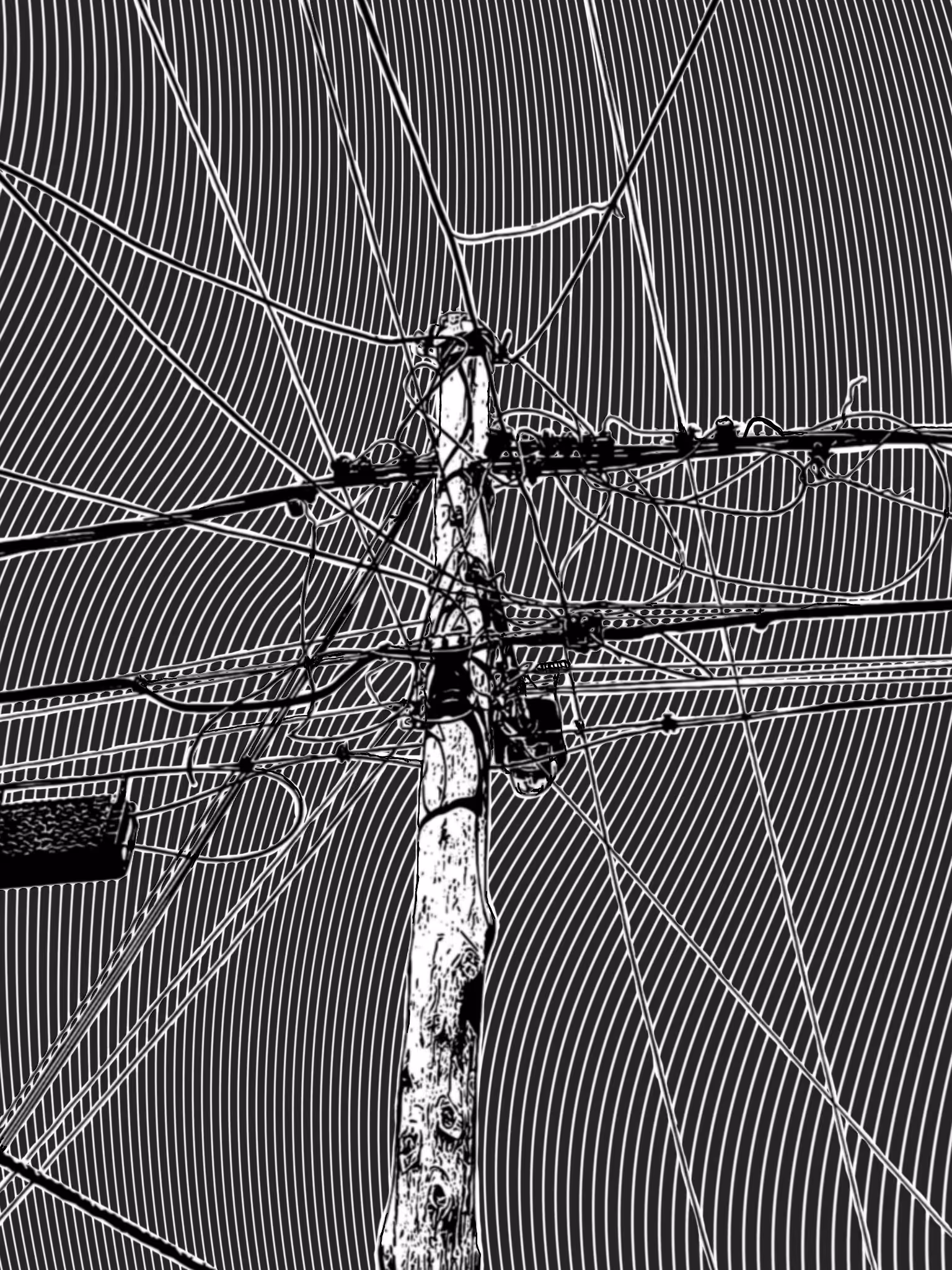 Cables V14