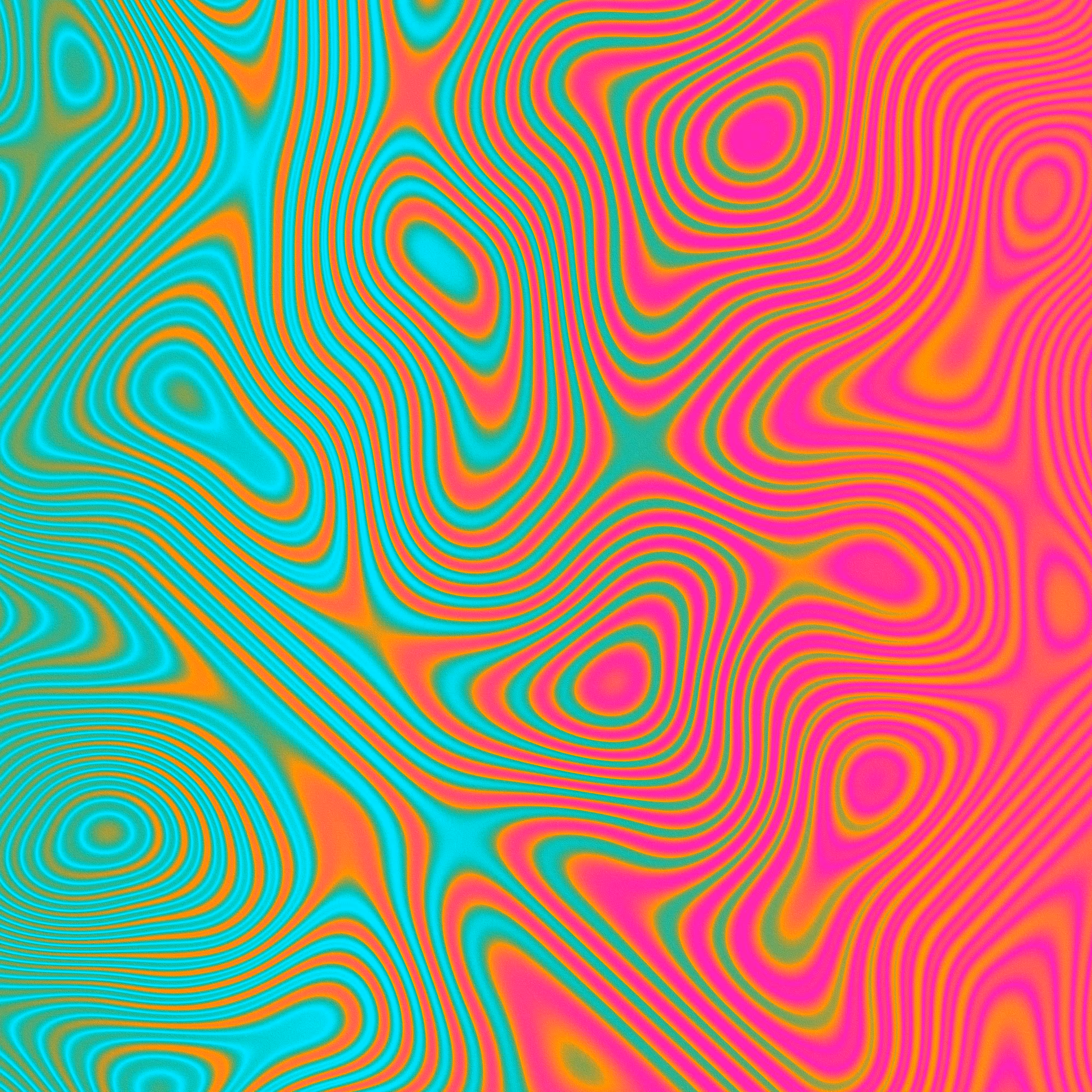      101