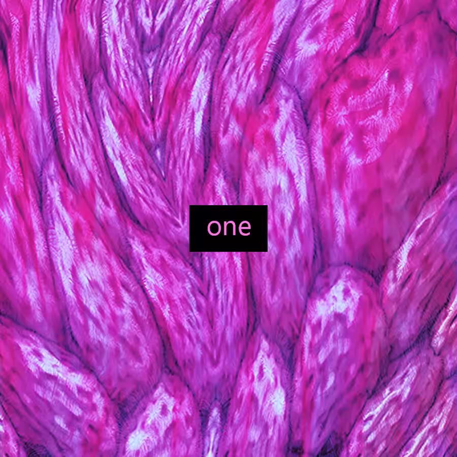 capxul 1.1 xxx instrumental pt 1