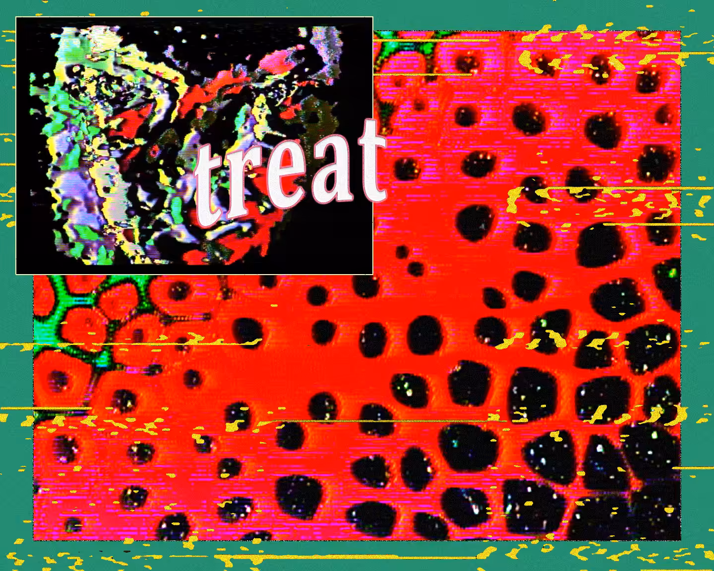 VISION #4