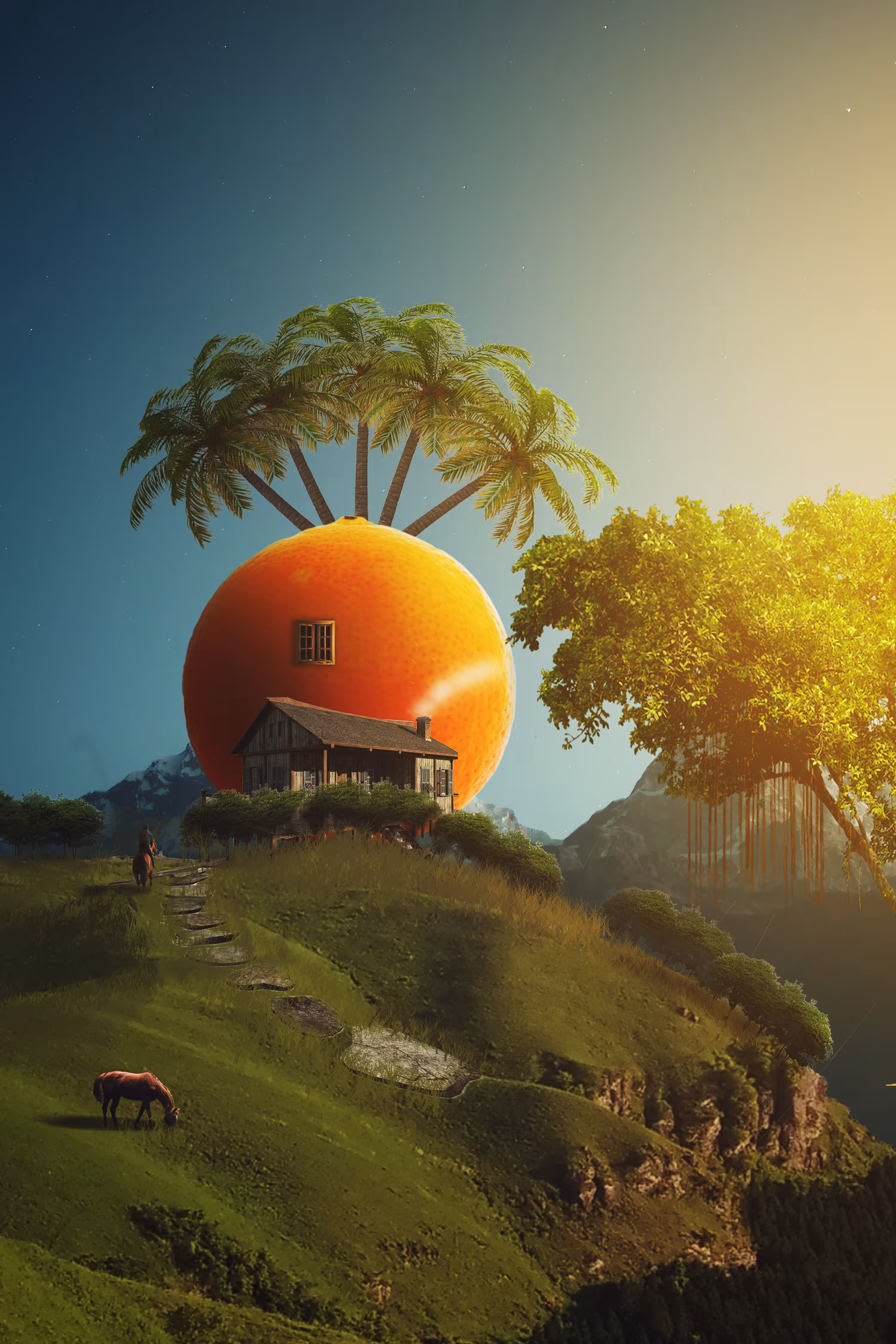 The Orange Crib