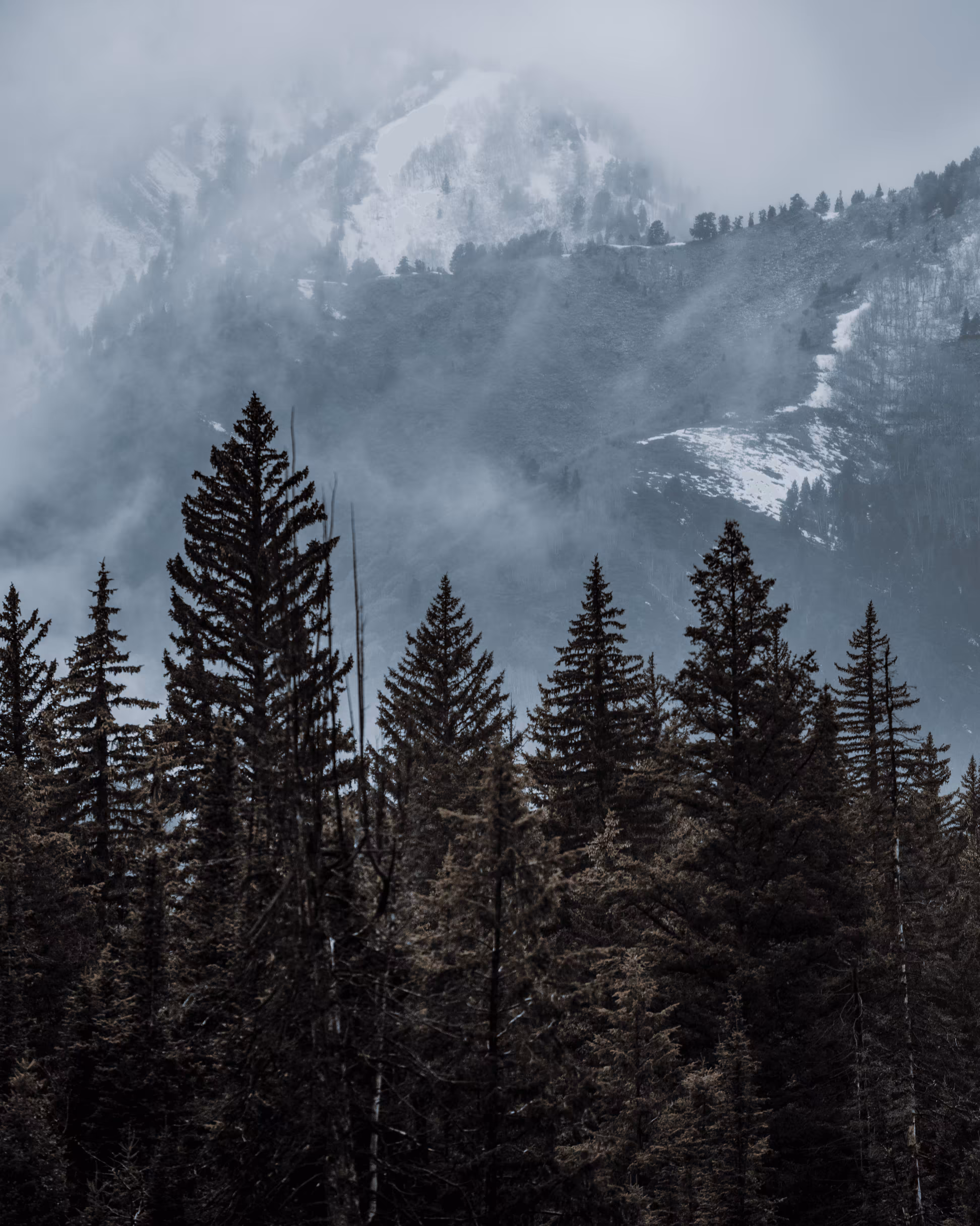  Southwest Wonders #16. Misty Mountains