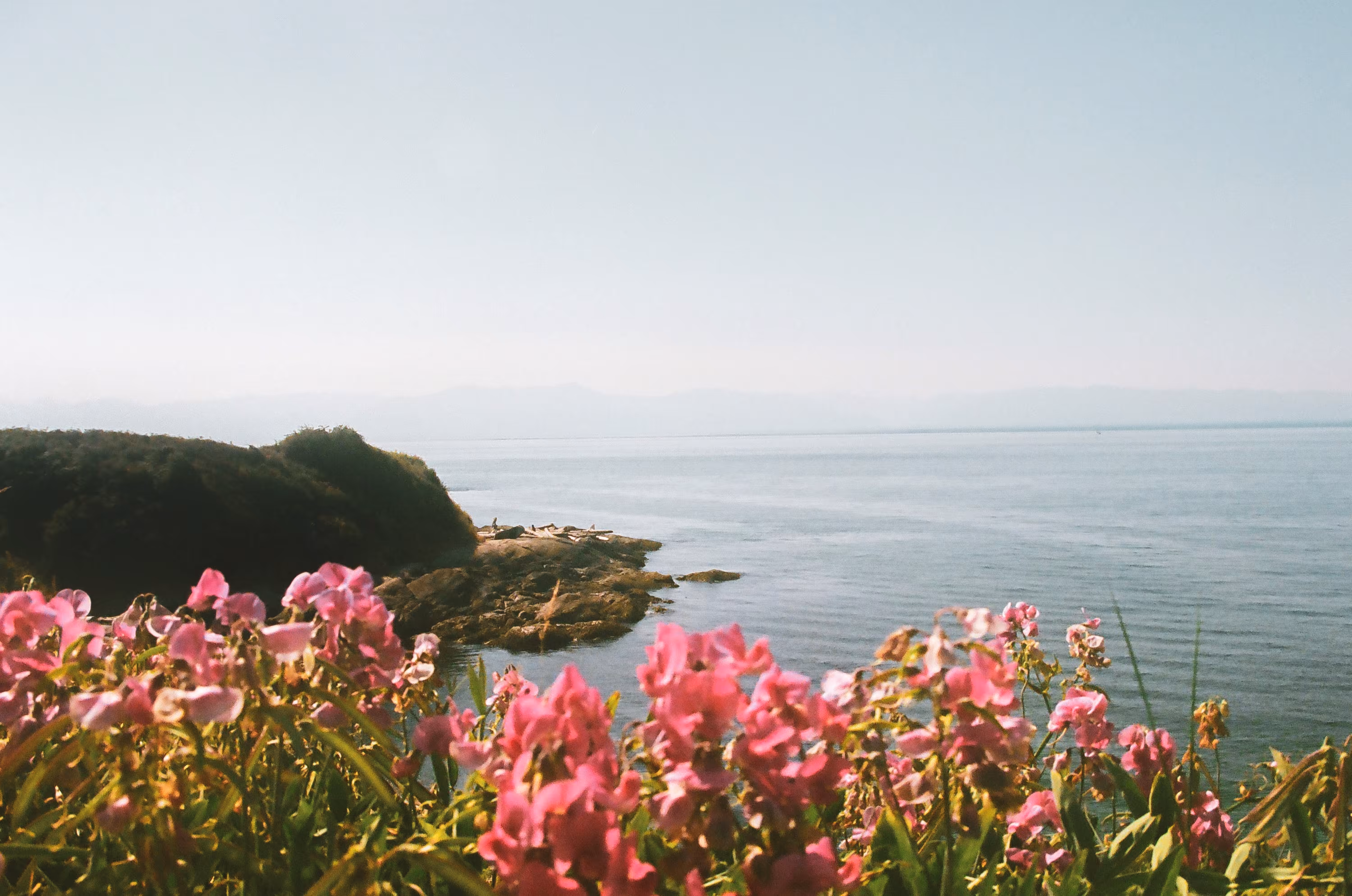 Shore Line