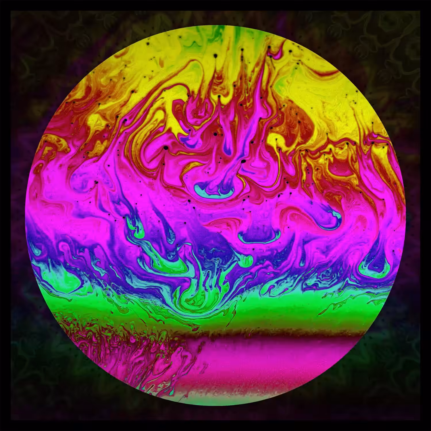 Undiscovered Colors #447