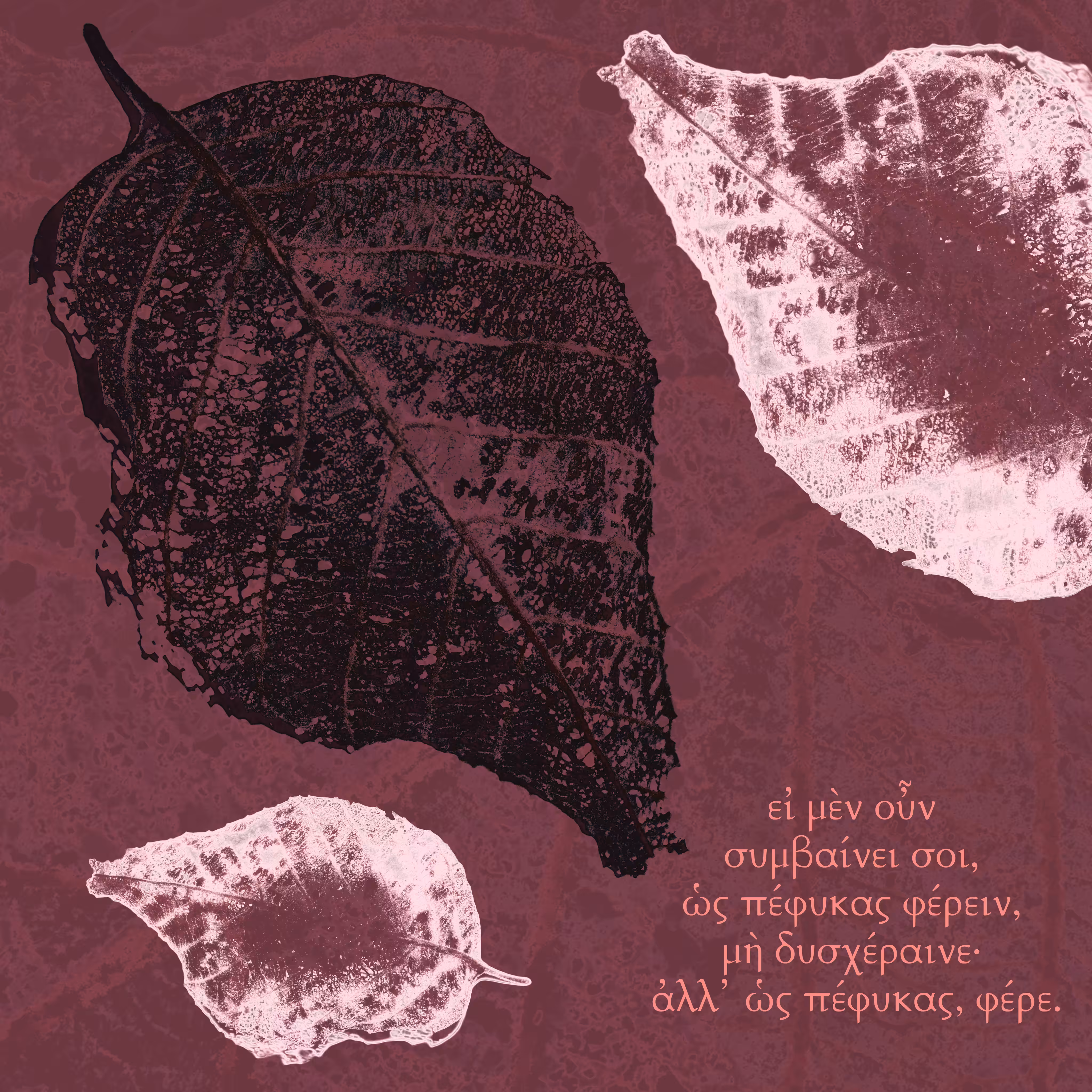 Decaying Fŏlĭum - 02