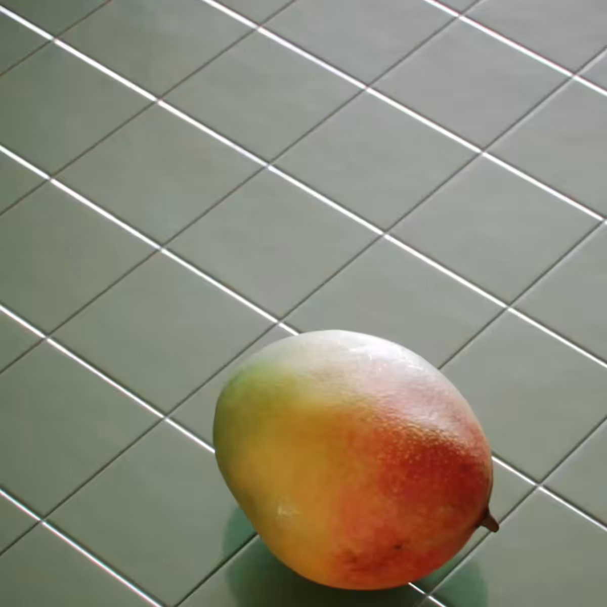 Cellular Reproduction
