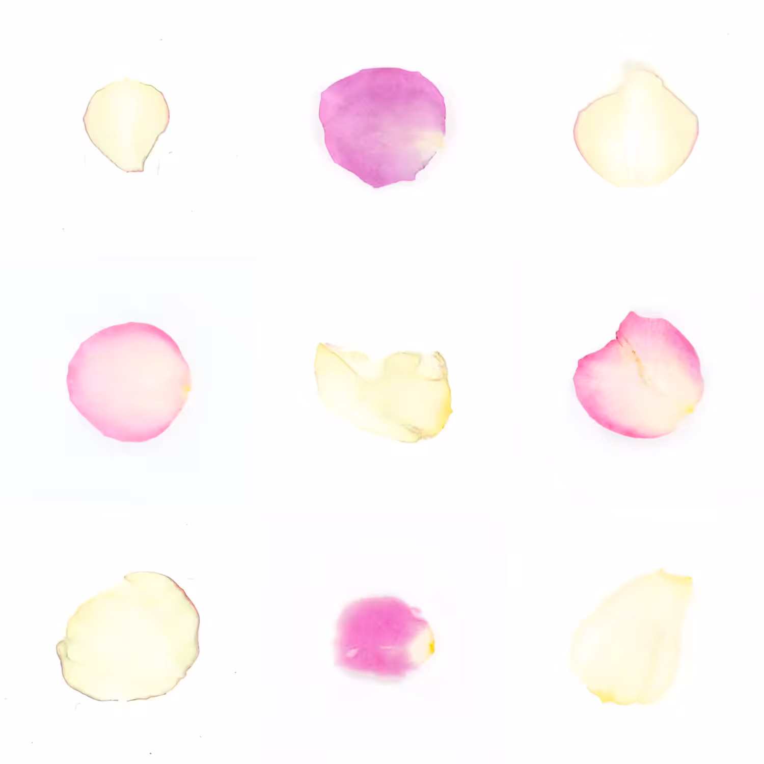 Infinite Petals 3x3#646