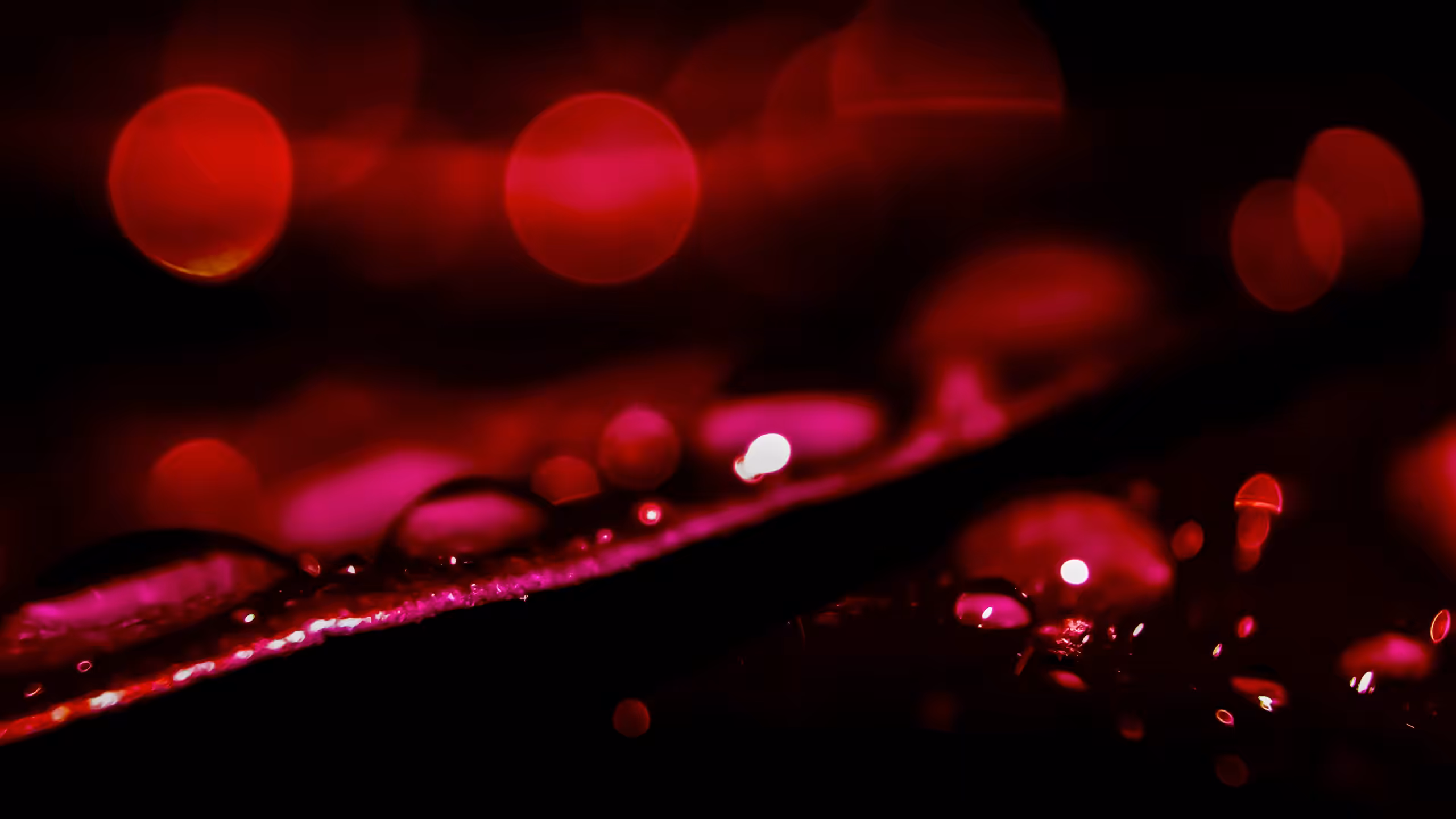 Drops On Leaves#04
