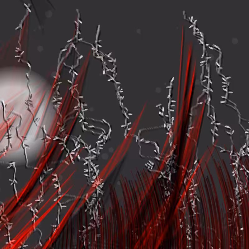 Sinew and Ivy #6