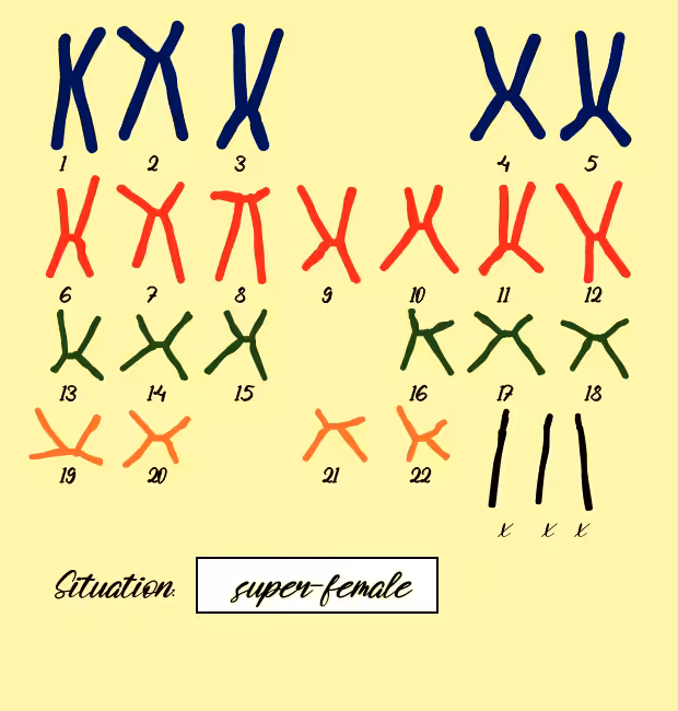 "Karyotype" #10
