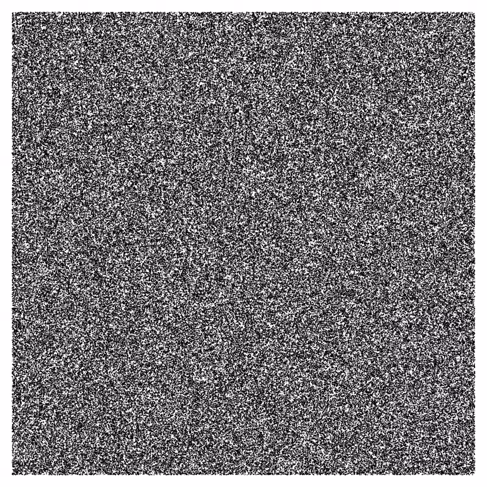 Noise #59