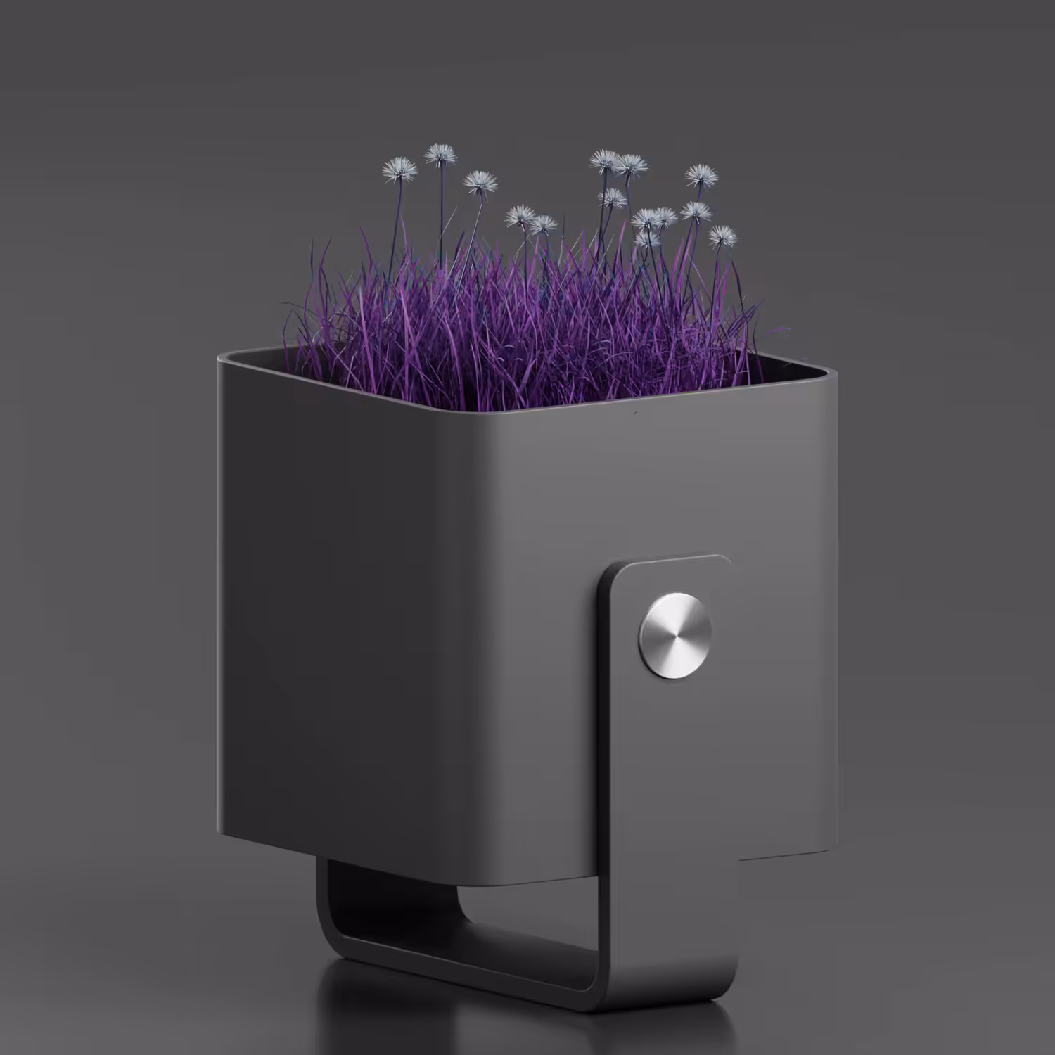The purple color