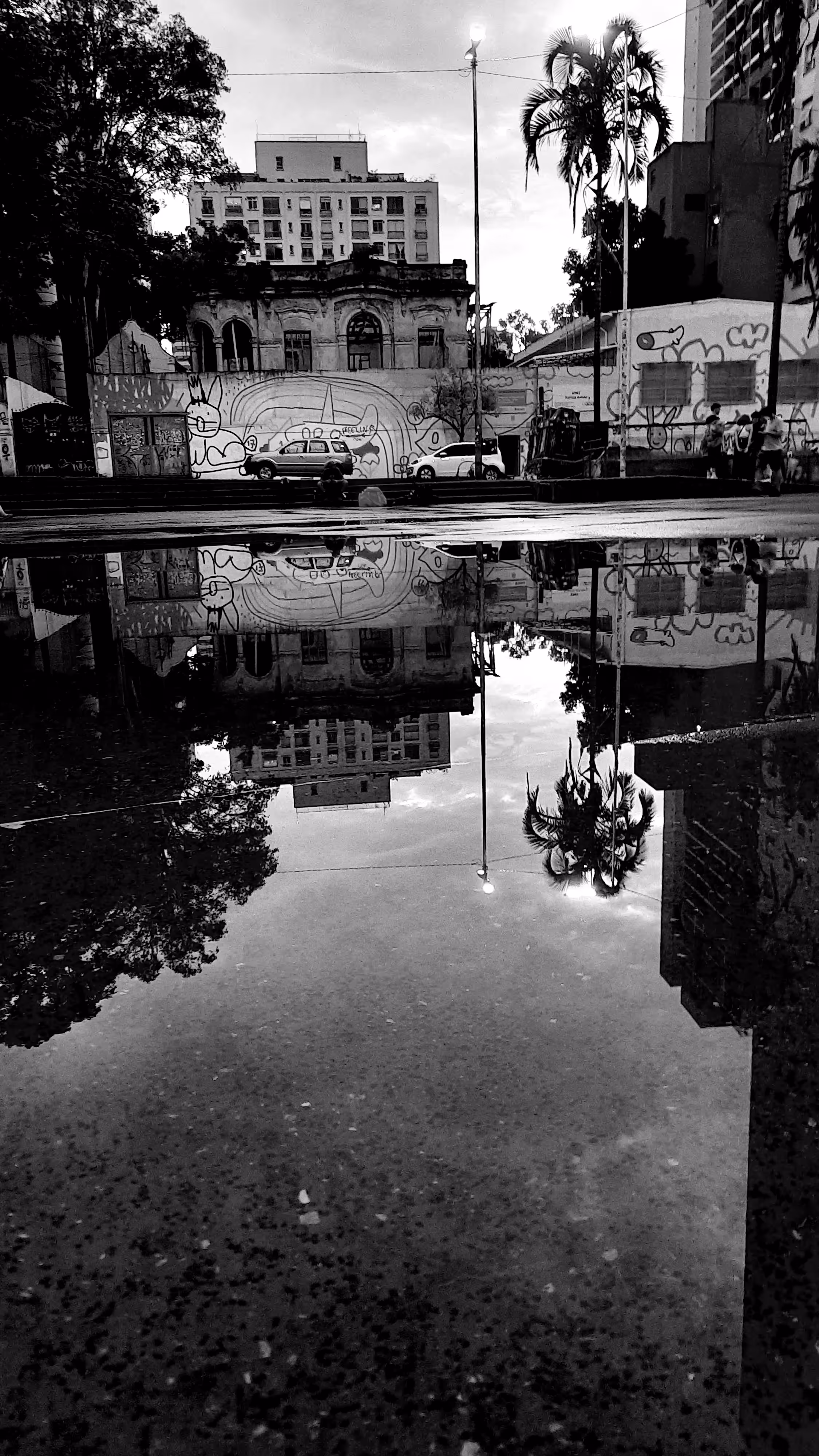 SP-ConcreteJungle#2