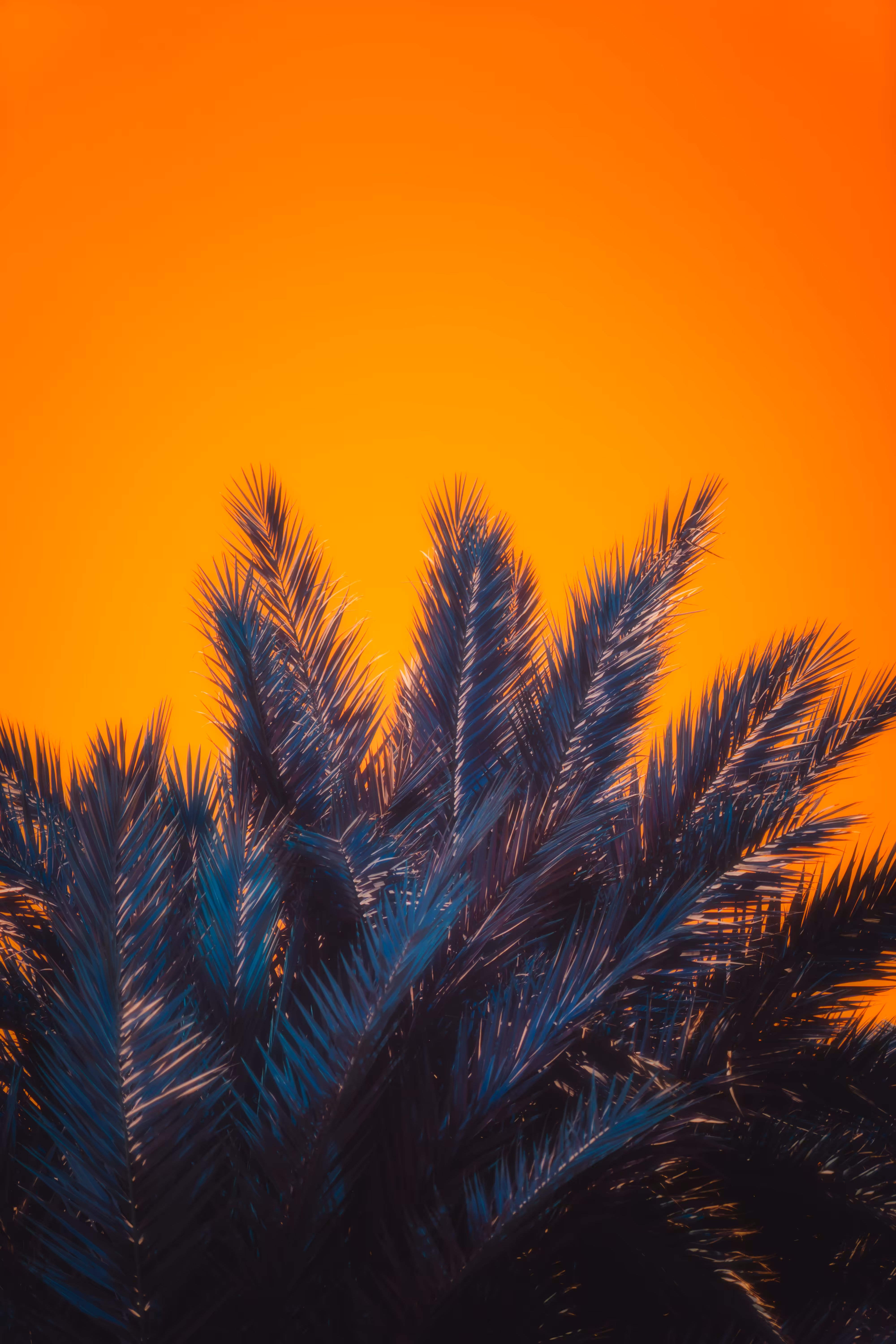 DUSK