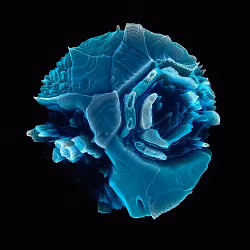 STORM_1