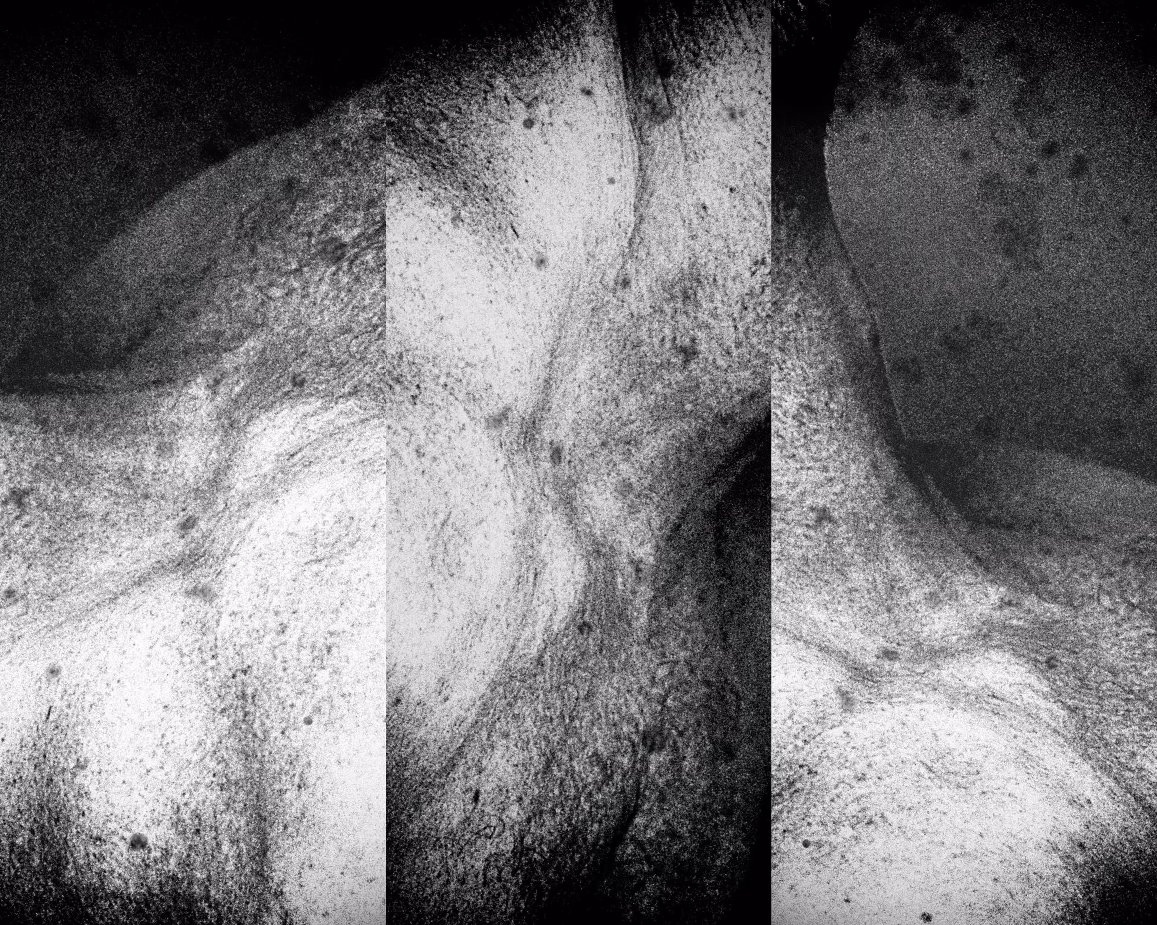 Body | Slice [07]