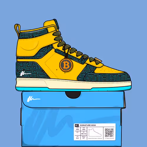 Signature Sneakers Highs #62