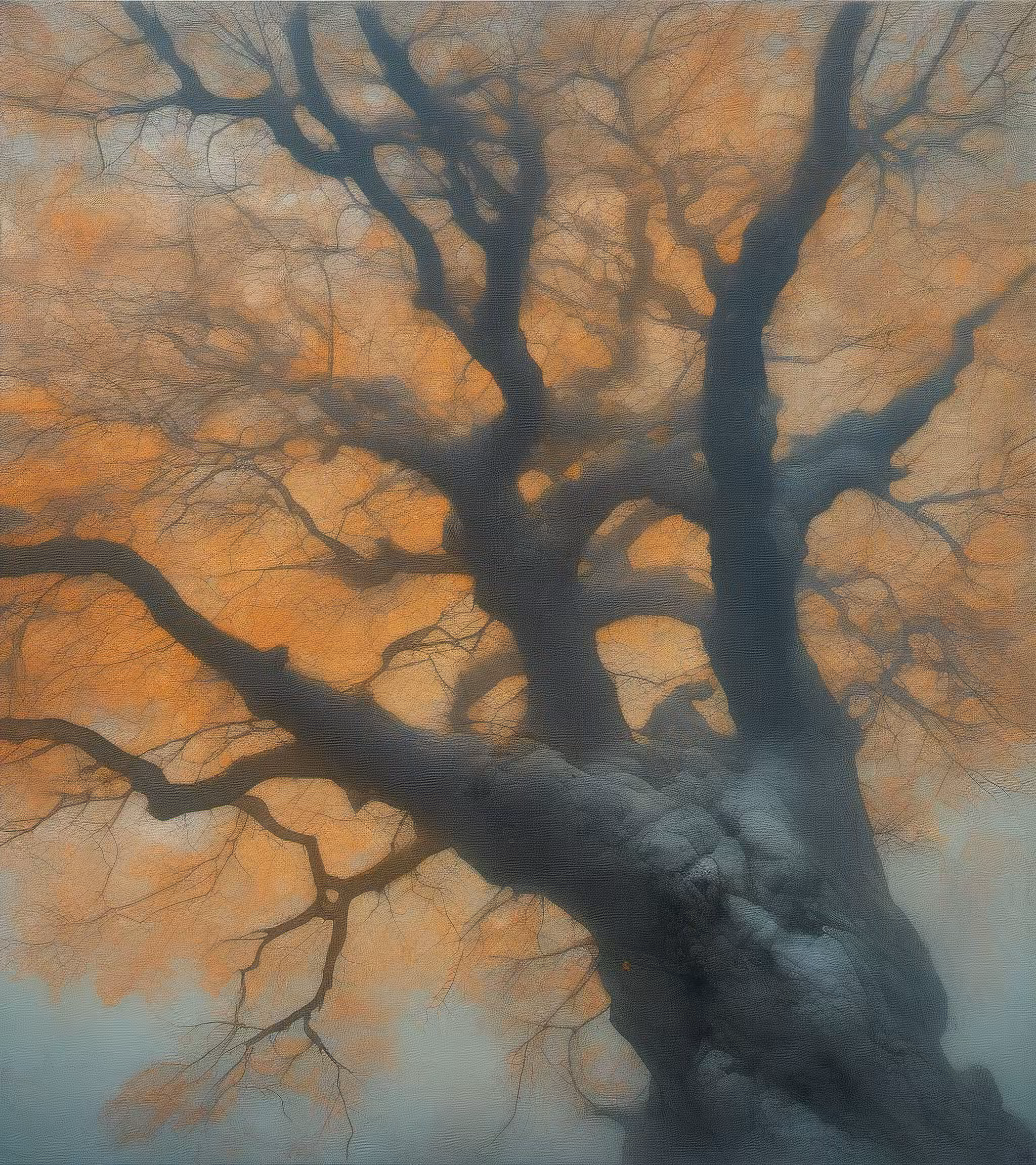 Tree Studies #27