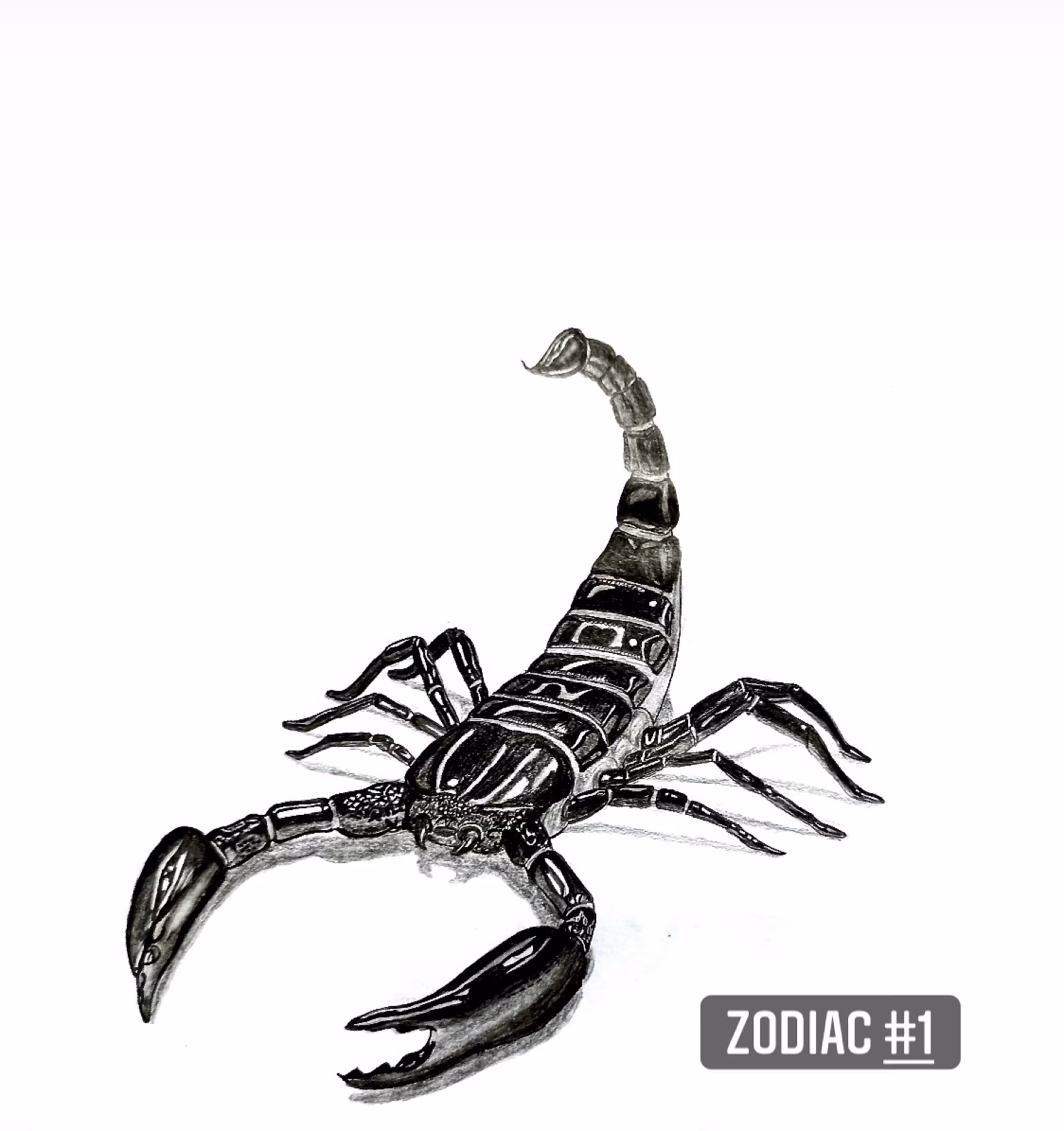 Scorpio - #1 with Zodiac collection. 