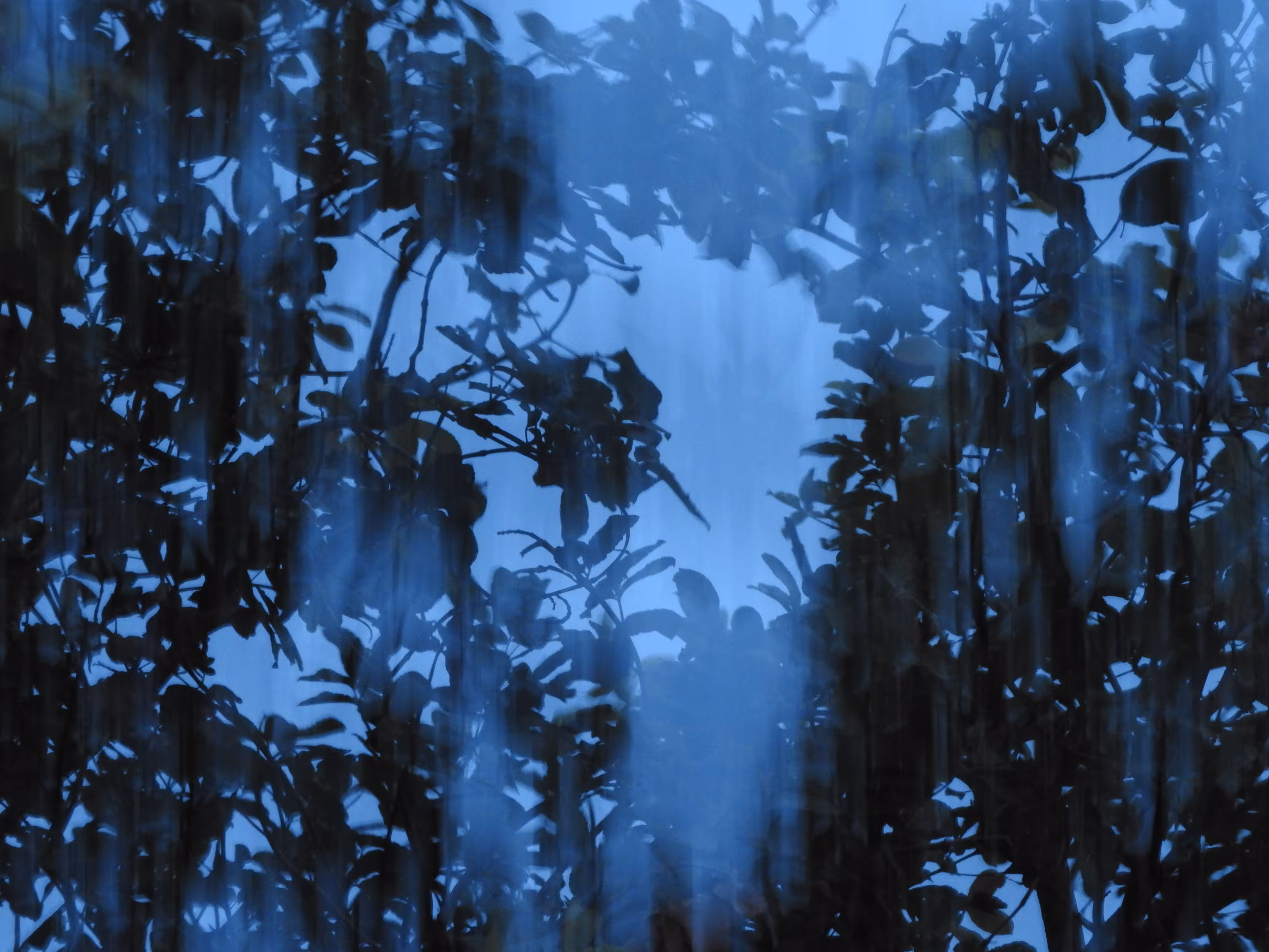 painting with a camera - Piece 02