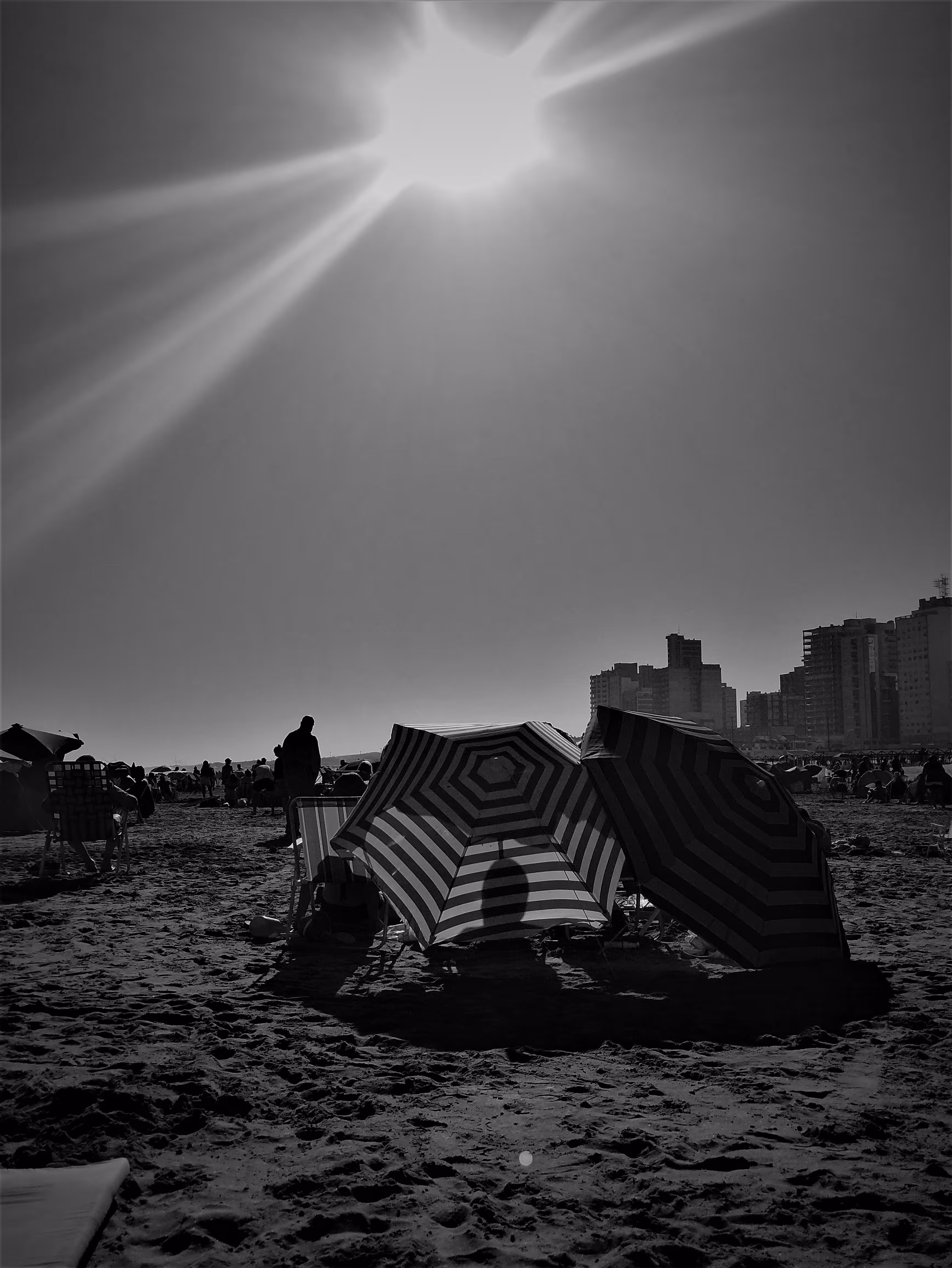 Picture #12