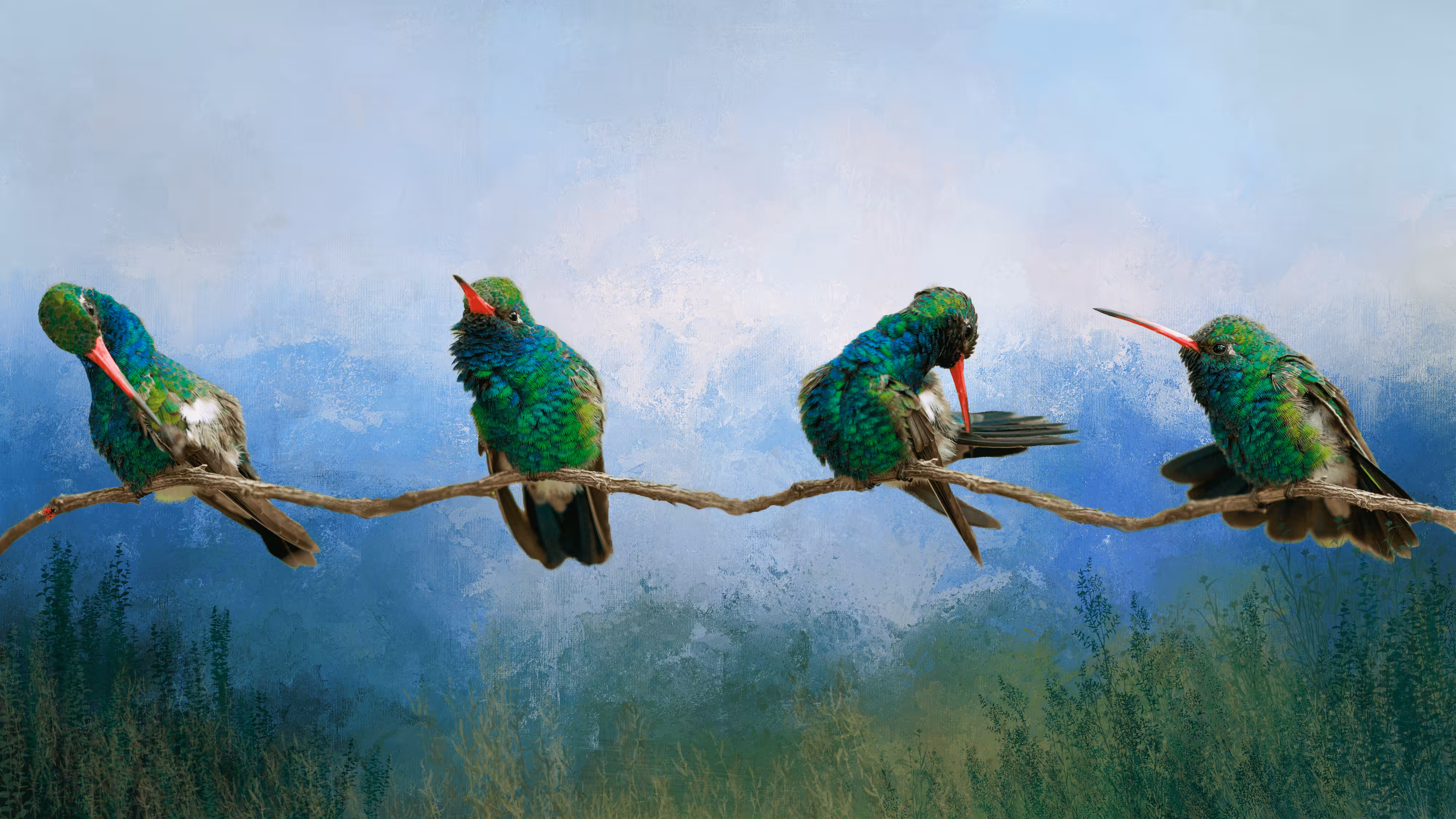 Hummingbird - Wings in Time Collection