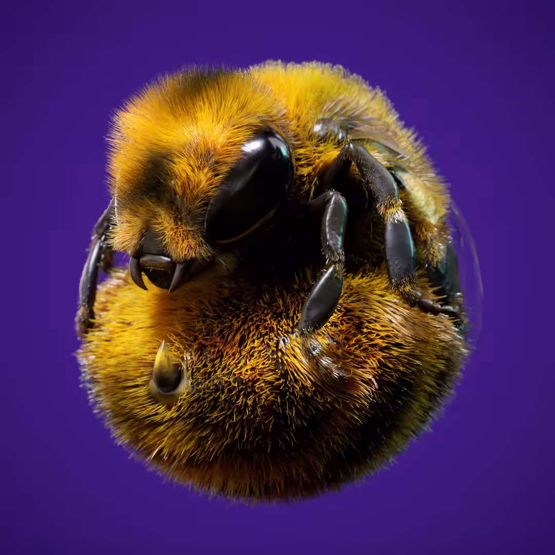 Bumblebee