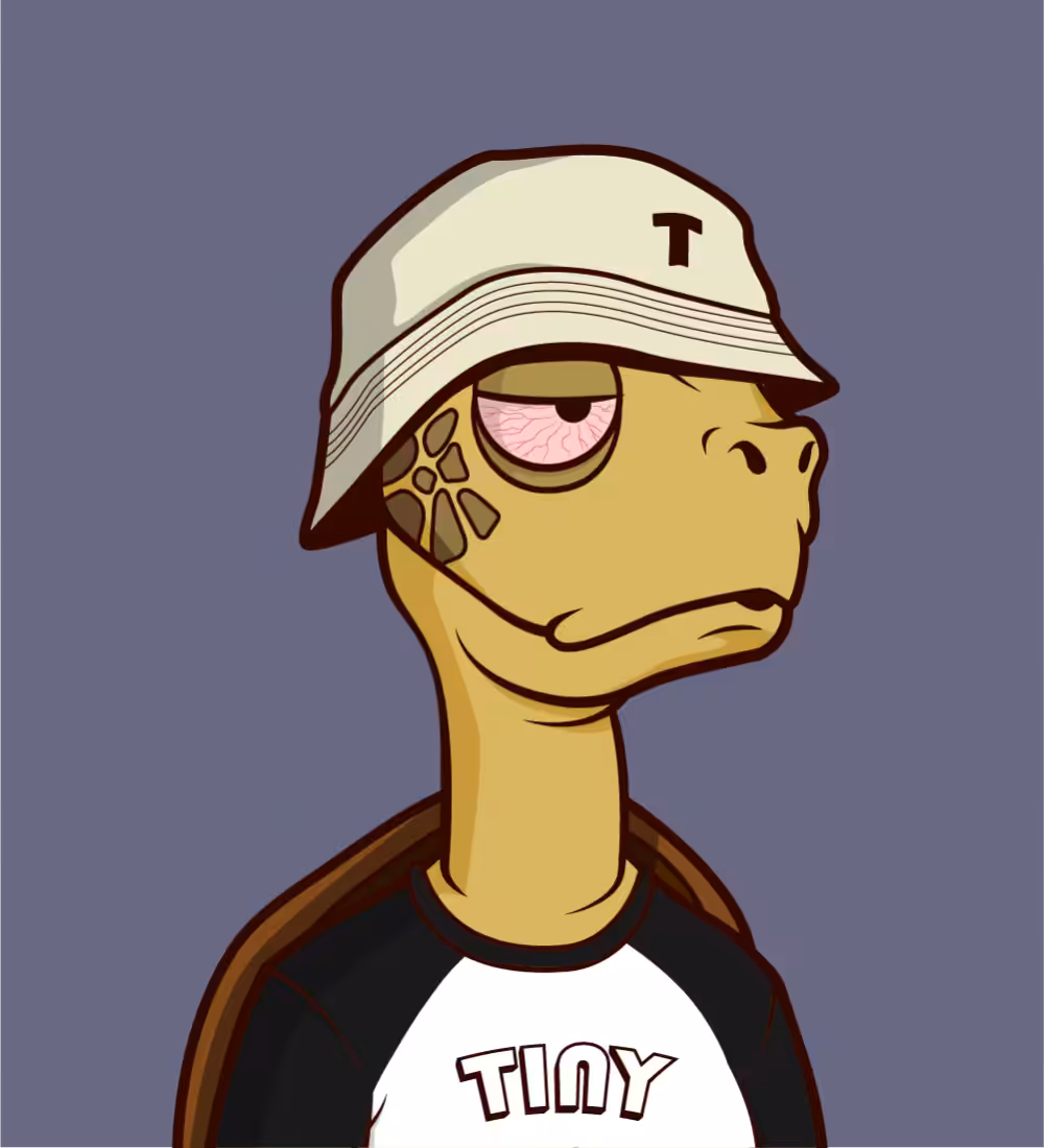 Tiny Turtle 200