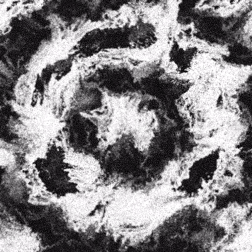 Noise #558 