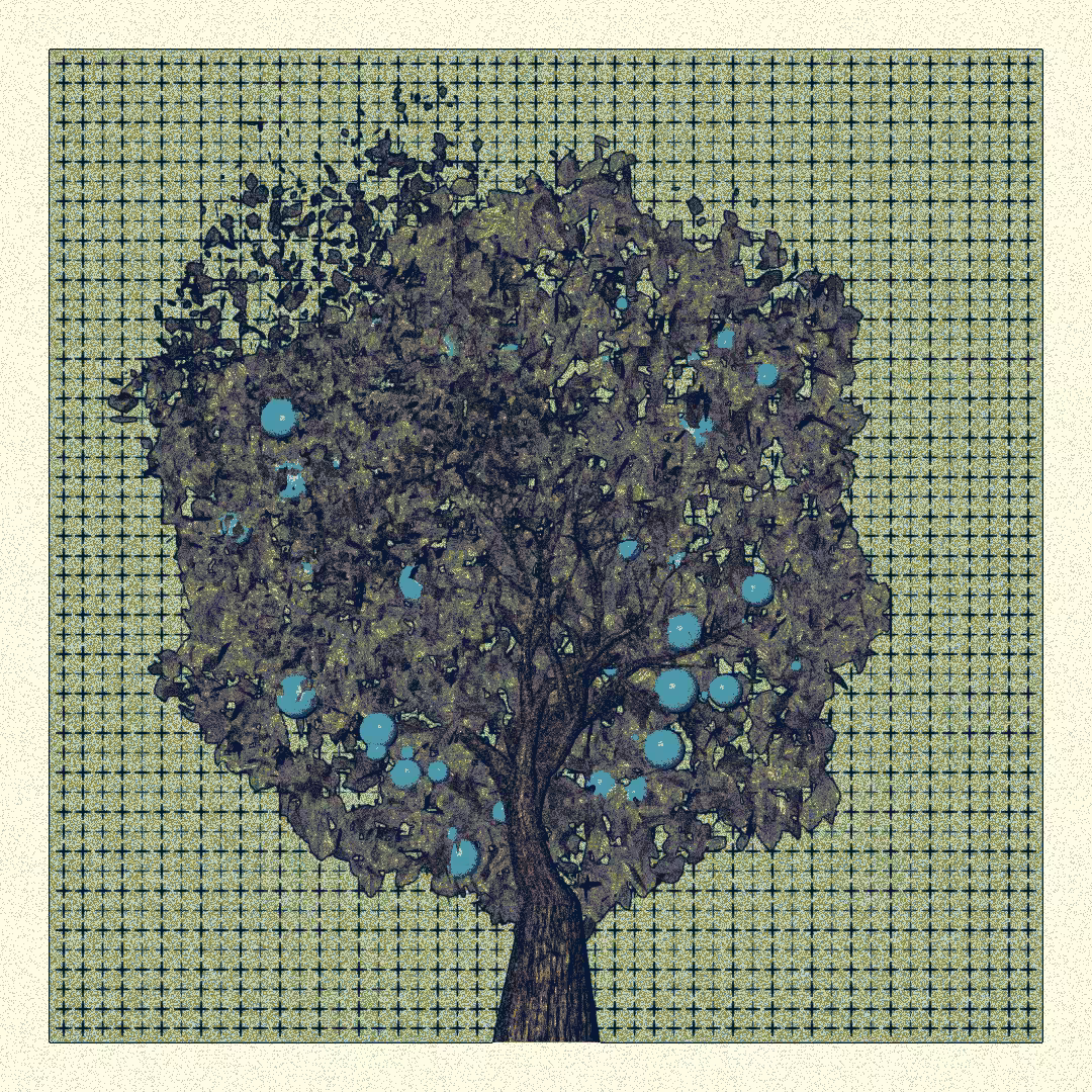 _argania[primaria] #250