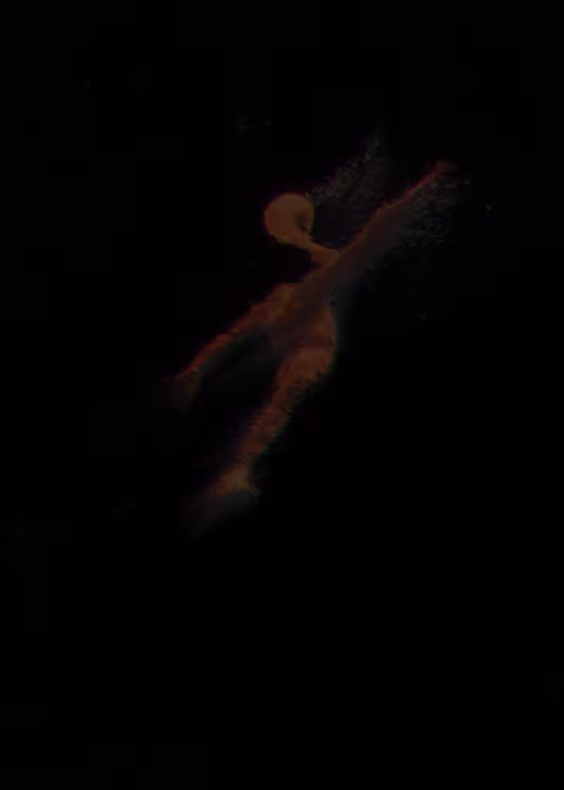 Dunker
