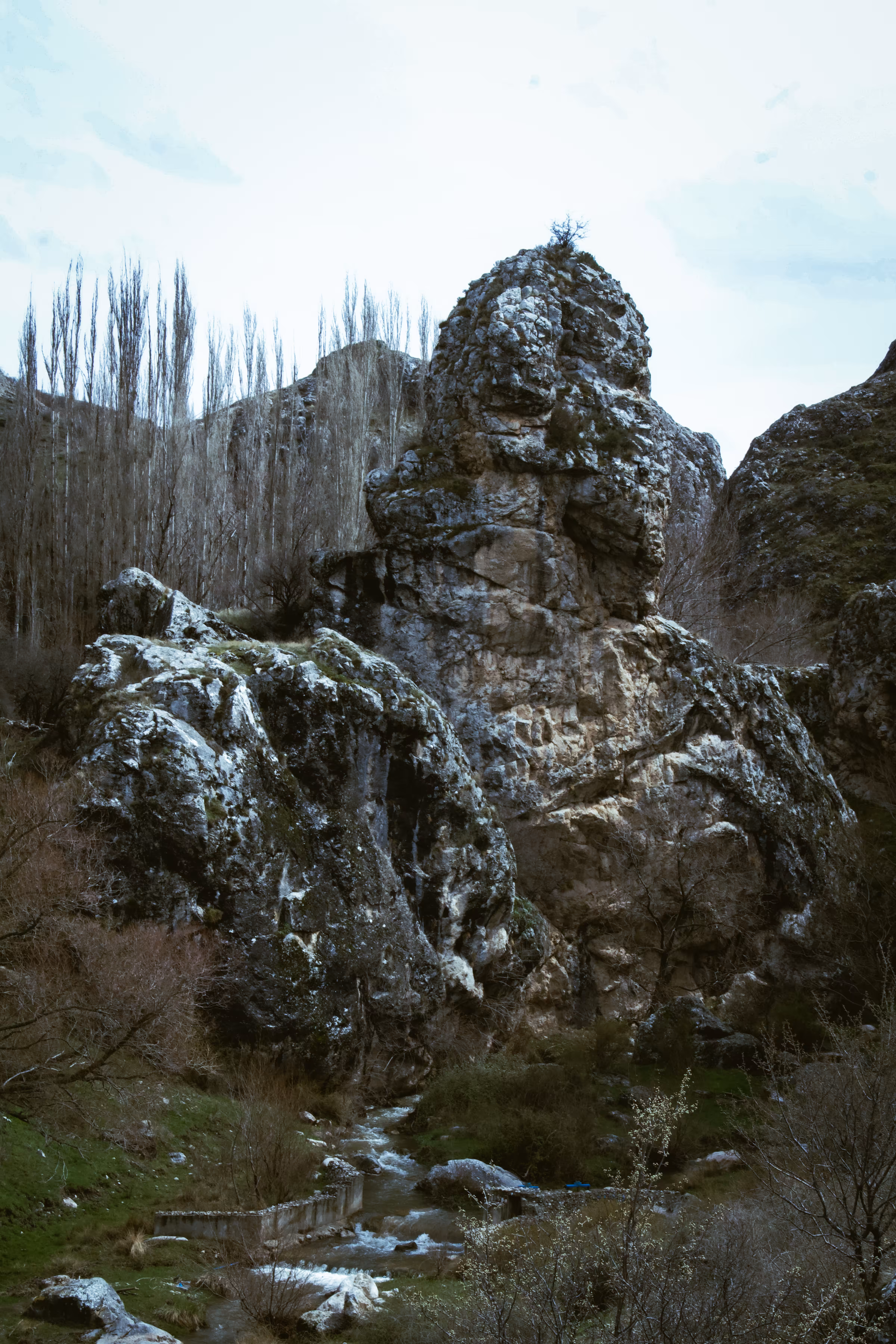 Monolith