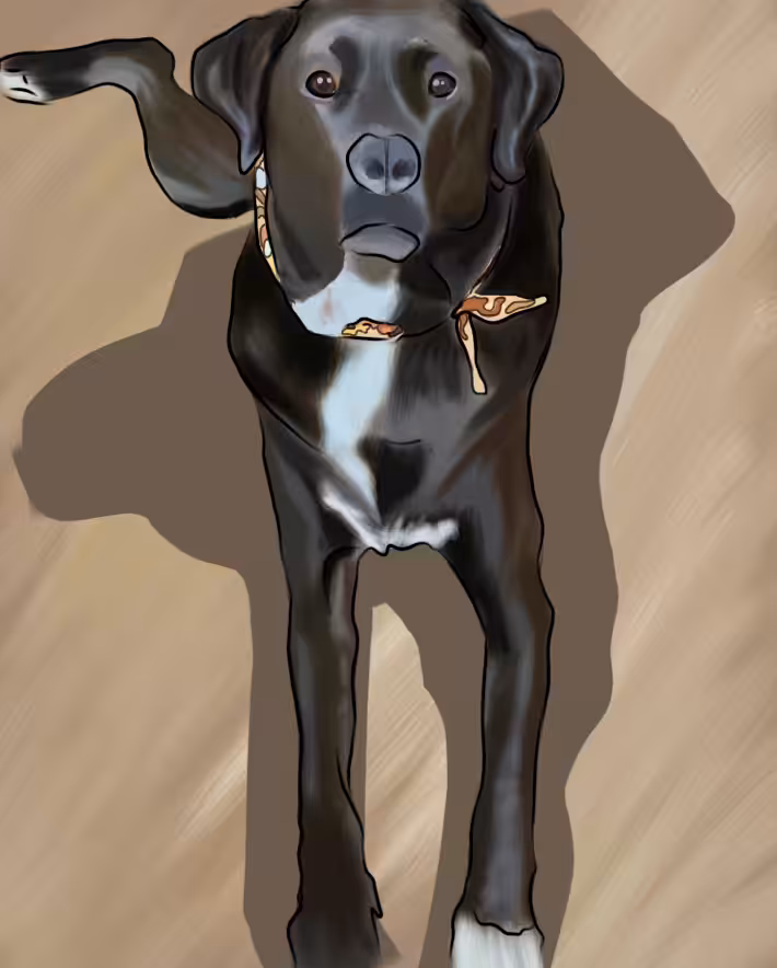 Good boy