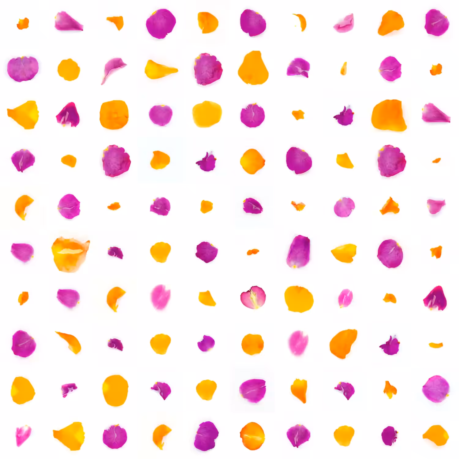 Infinite Petals 10x10#1232