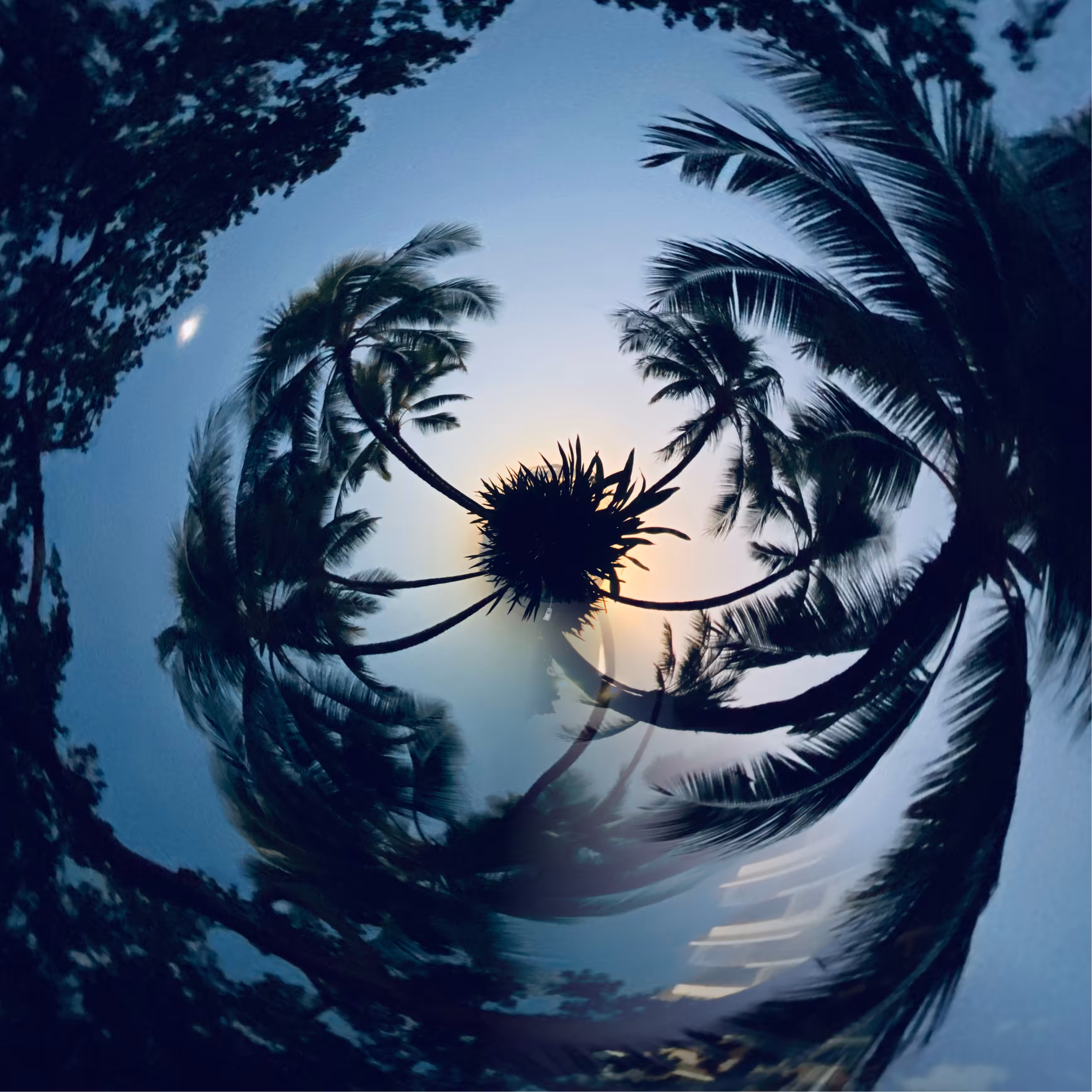 Fantasy Island
