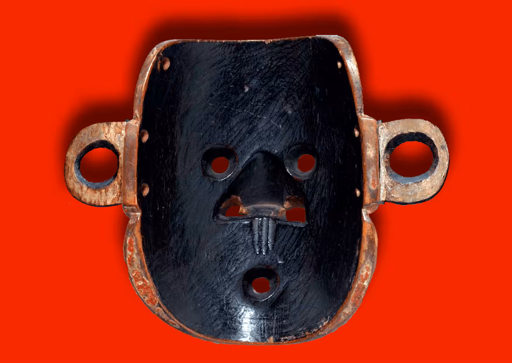 the monkey mask