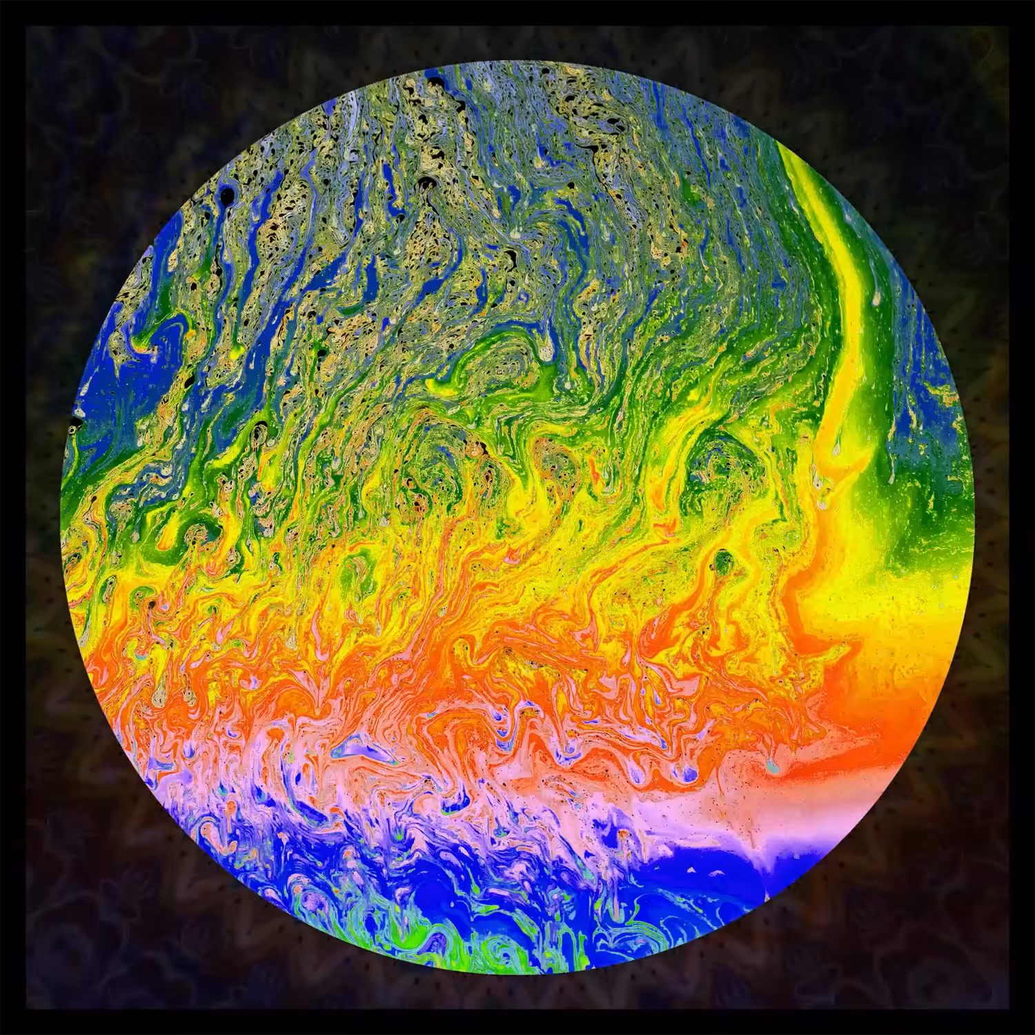 Undiscovered Colors #481