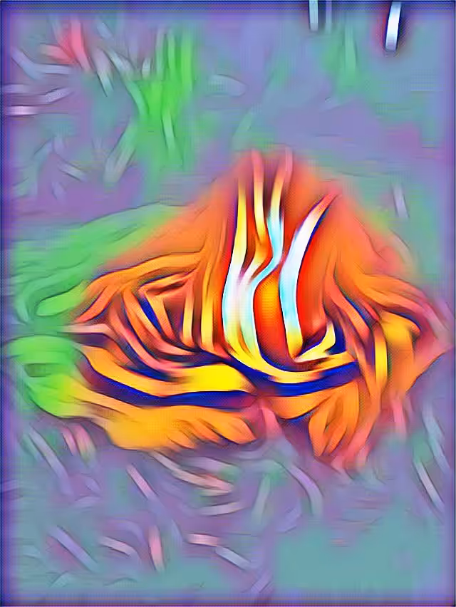 Bonfire