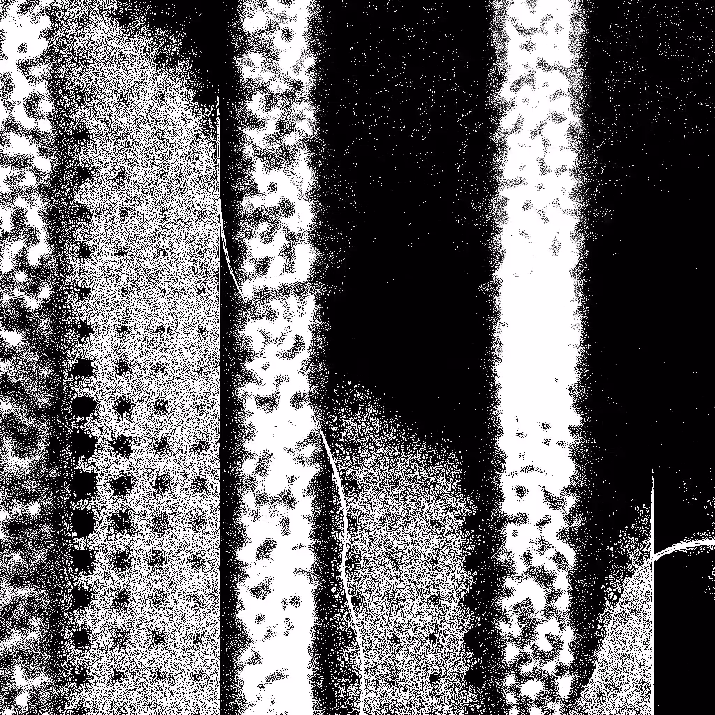 Noise #296 