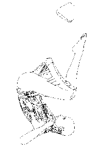 YSATSCEDNAECAEPEVOL
