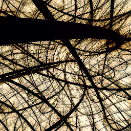 Weird Wired World #19