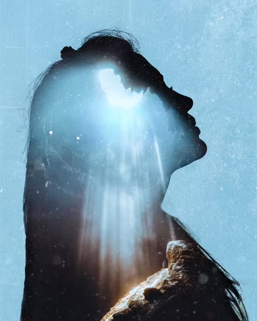 Introspection