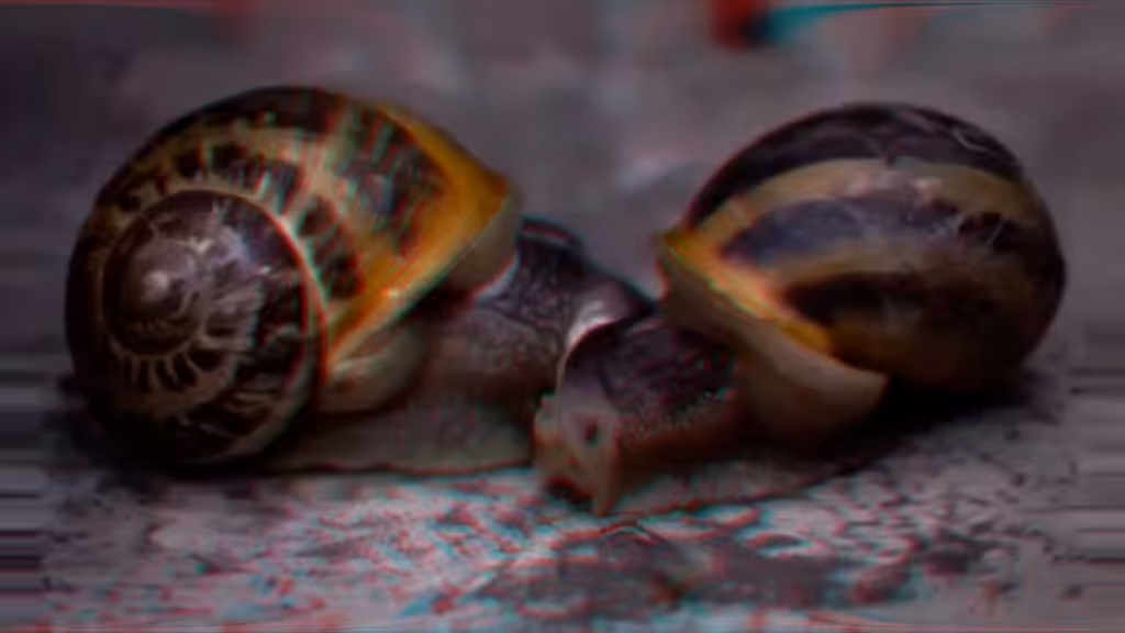 Artificialis Gastropodae