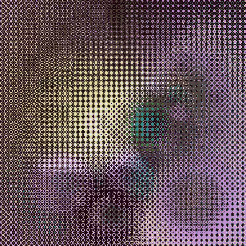 Focus #31